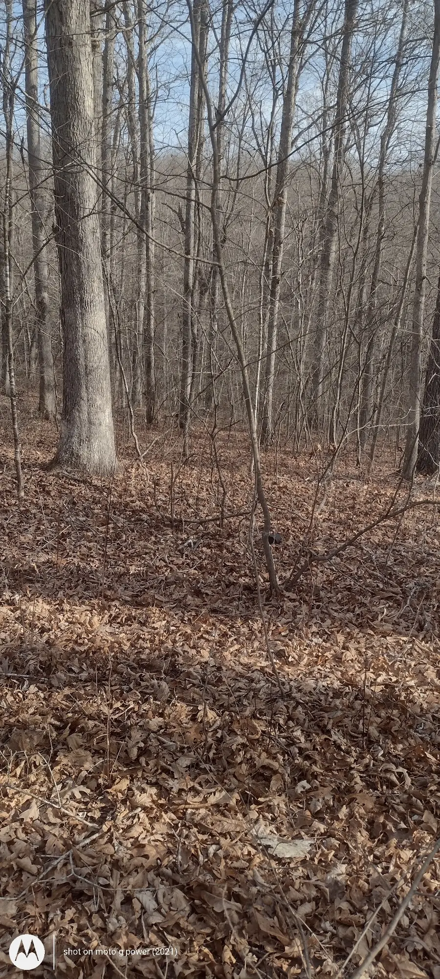 1 Ridge Cliff Drive, Monteagle, TN 37356 - #2