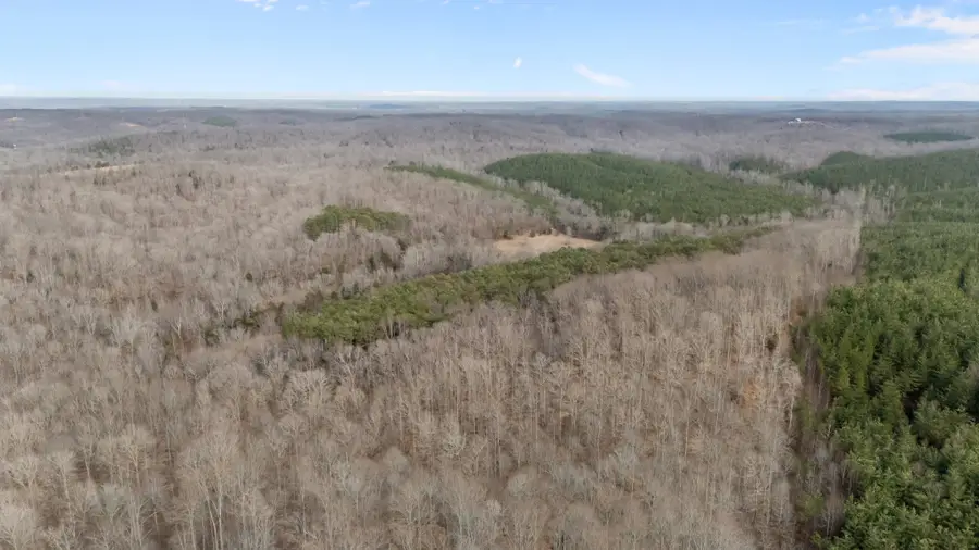 0 Malugin Hollow Lane, Hurricane Mills, TN 37078 - #2