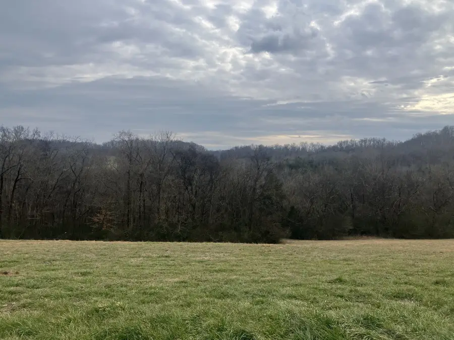 15 Booker Ridge Rd, Mount Pleasant, TN 38474 - #2