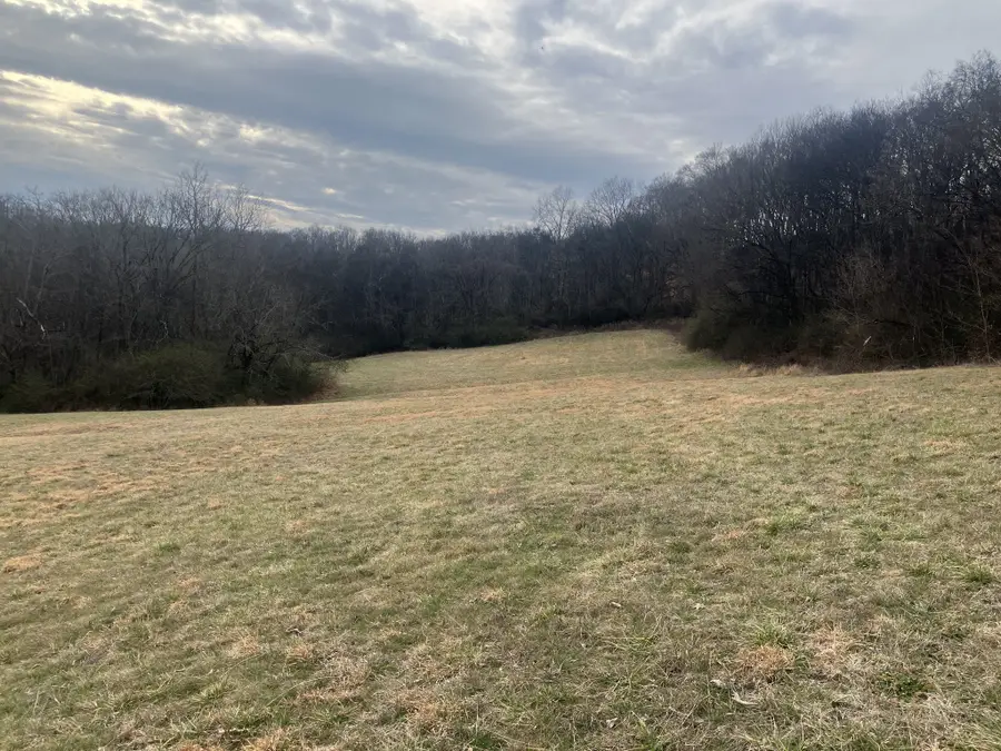 15 Booker Ridge Rd, Mount Pleasant, TN 38474 - #3