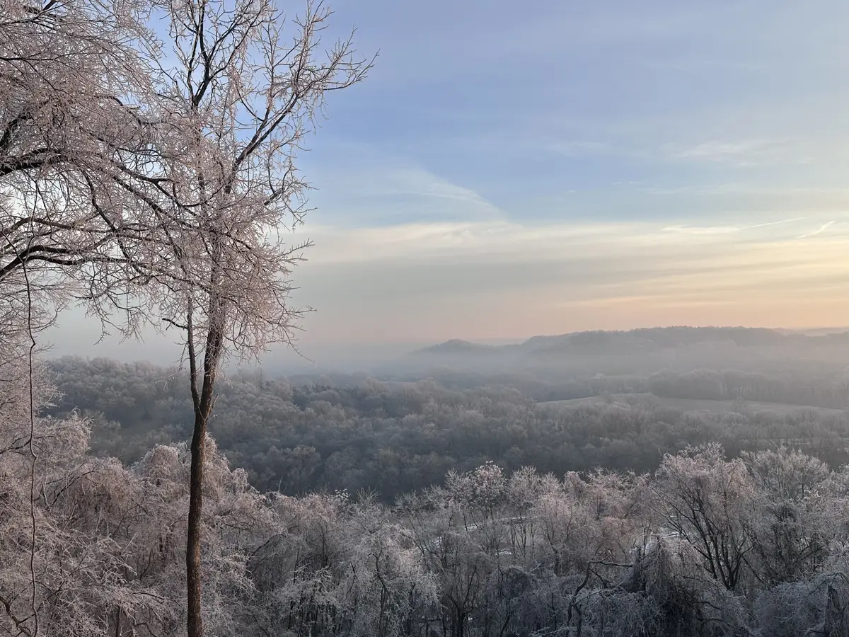 1836 New Highway 7, Columbia, TN 38401 - #1