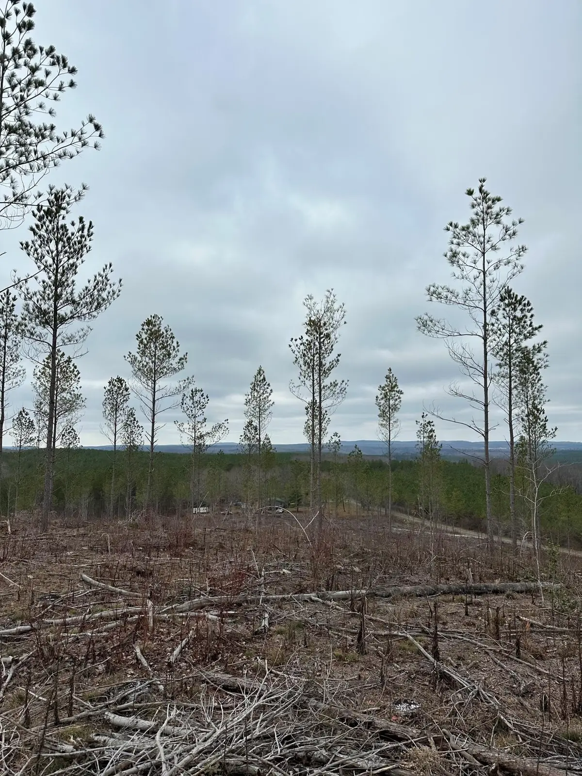 26 Thomas Springs Road, Crossville, TN 38572 - #1