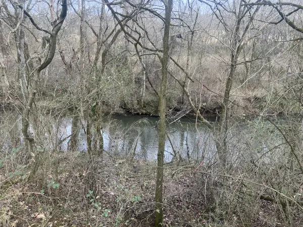 5 Southport Rd, Mount Pleasant, TN 38474