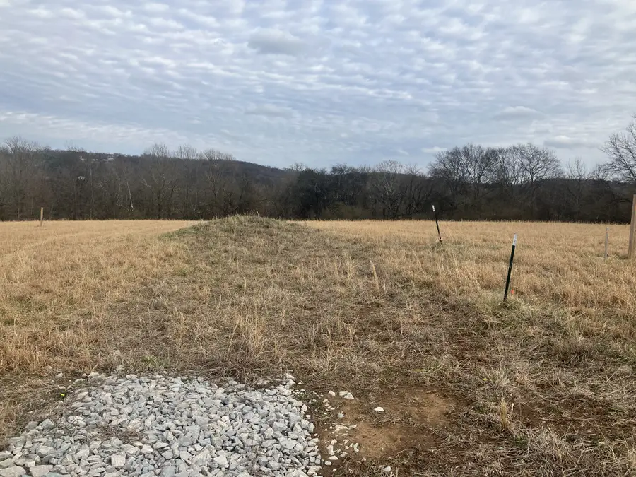 5 Southport Rd, Mount Pleasant, TN 38474 - #2