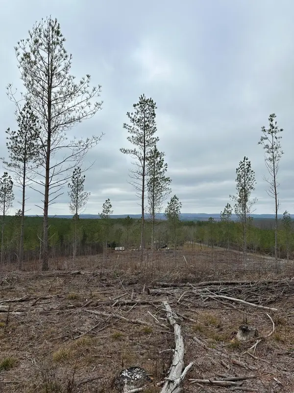 25 Thomas Springs Road, Crossville, TN 38572