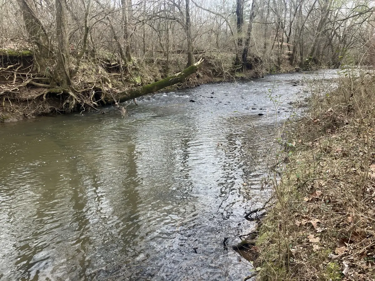 4 Southport Rd, Mount Pleasant, TN 38474 - #1