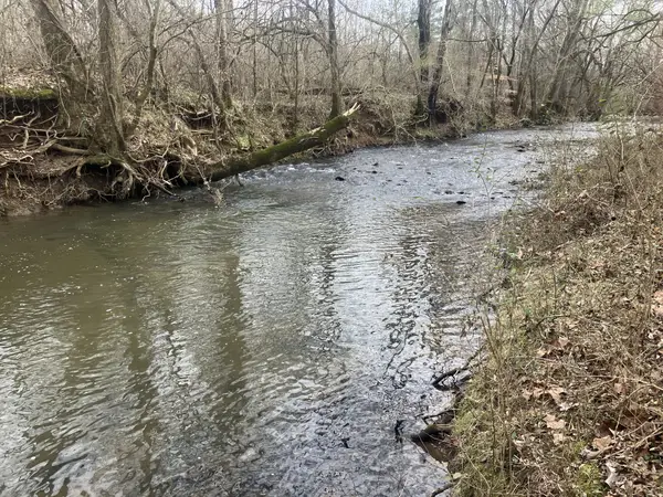 4 Southport Rd, Mount Pleasant, TN 38474