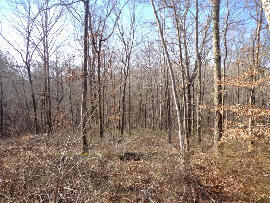 0 Deer Grass Ln, Hurricane Mills, TN 37078 - #3