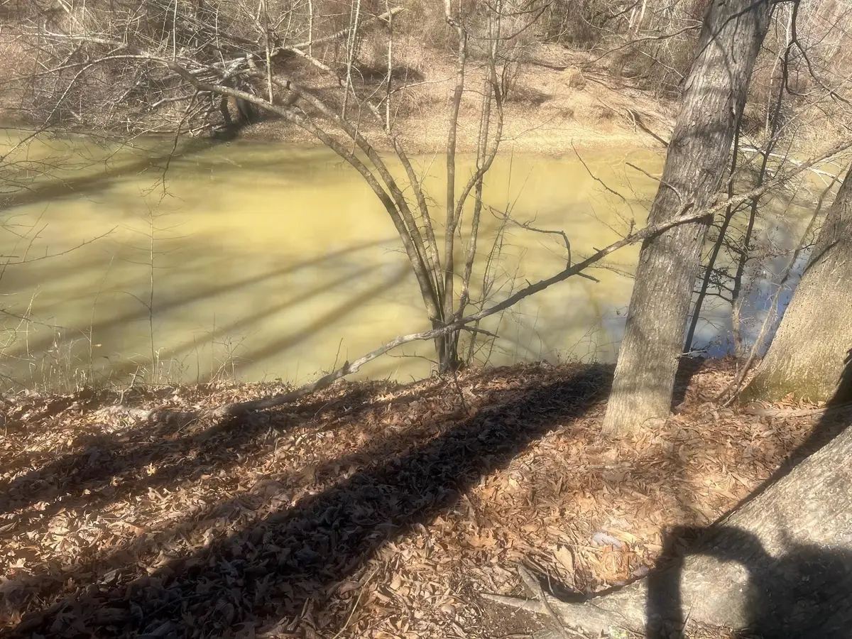 35 Towboat Ln, Adamsville, TN 38310 - #1