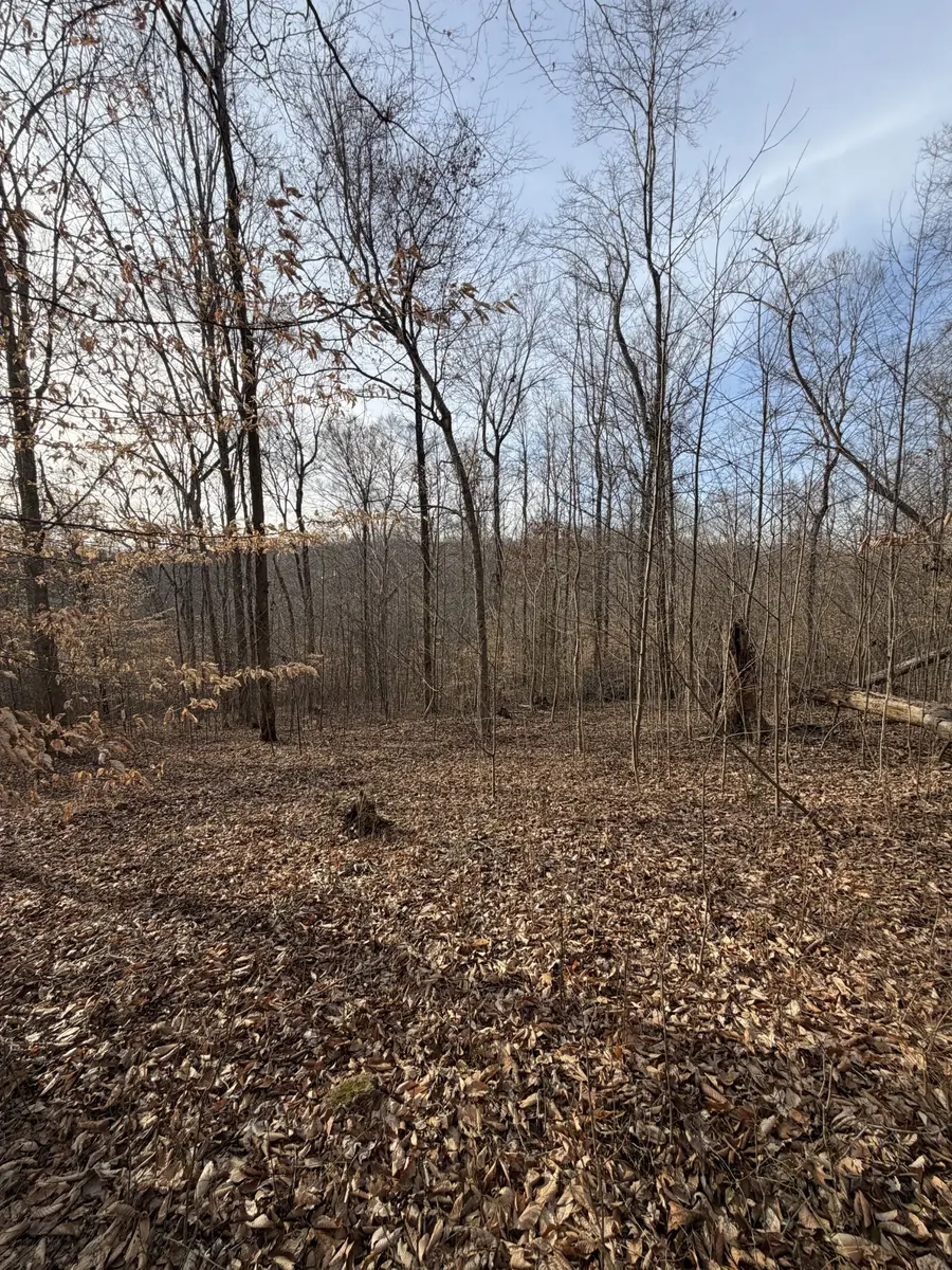 0 Macon Wall Rd, Ashland City, TN 37015 - #3