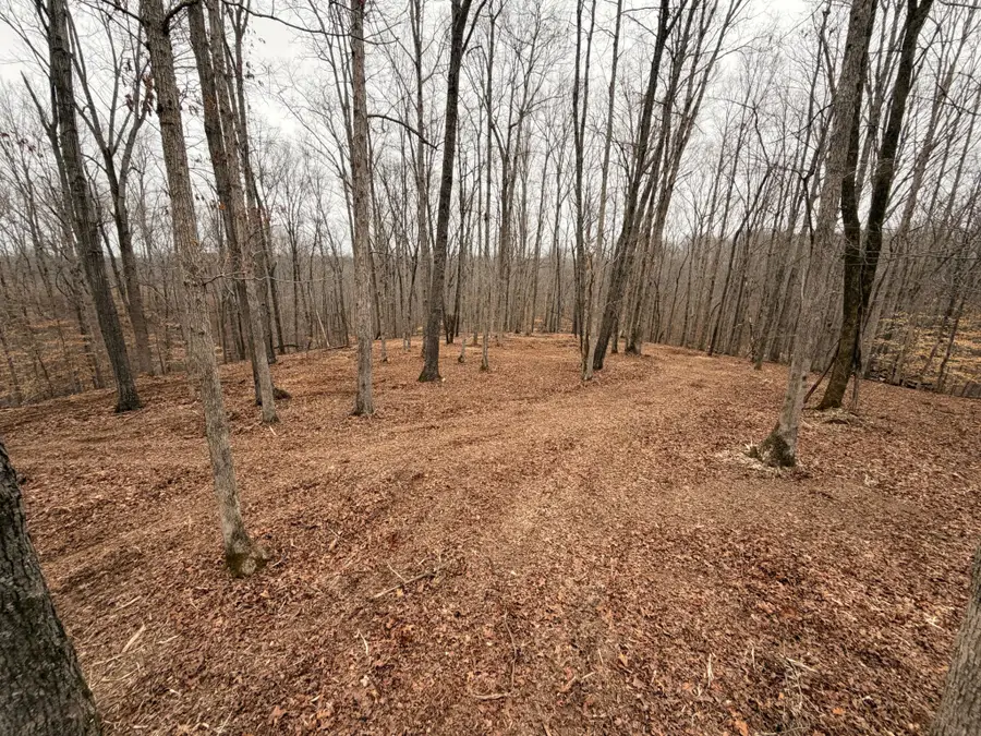 1 Bon Ridge Rd, Bon Aqua, TN 37025 - #2