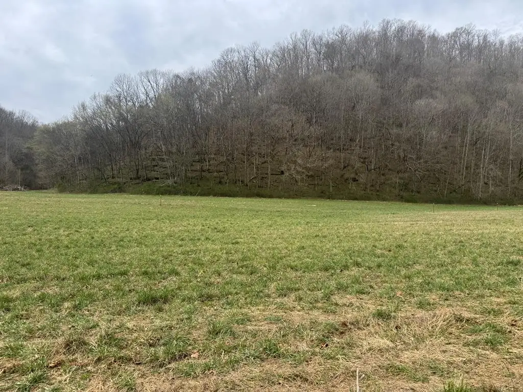 561 Pine Lick Rd, Whitleyville, TN 38588 - #1