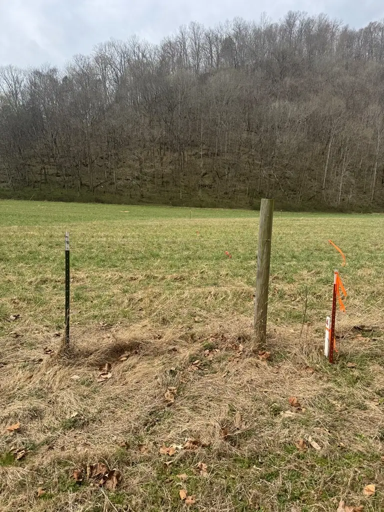 561 Pine Lick Rd, Whitleyville, TN 38588 - #3