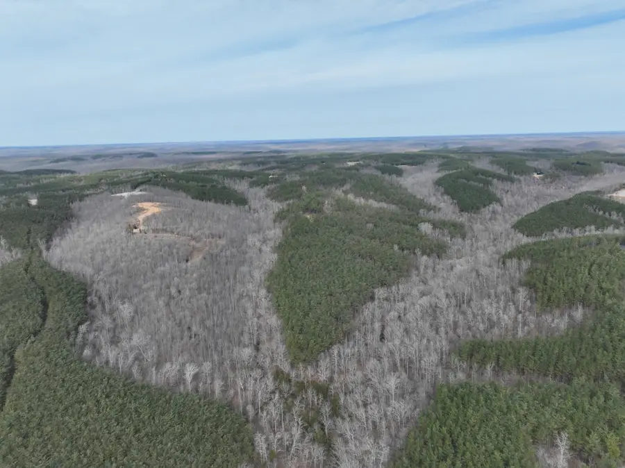 71 Auburn Ct, Linden, TN 37096 - #2