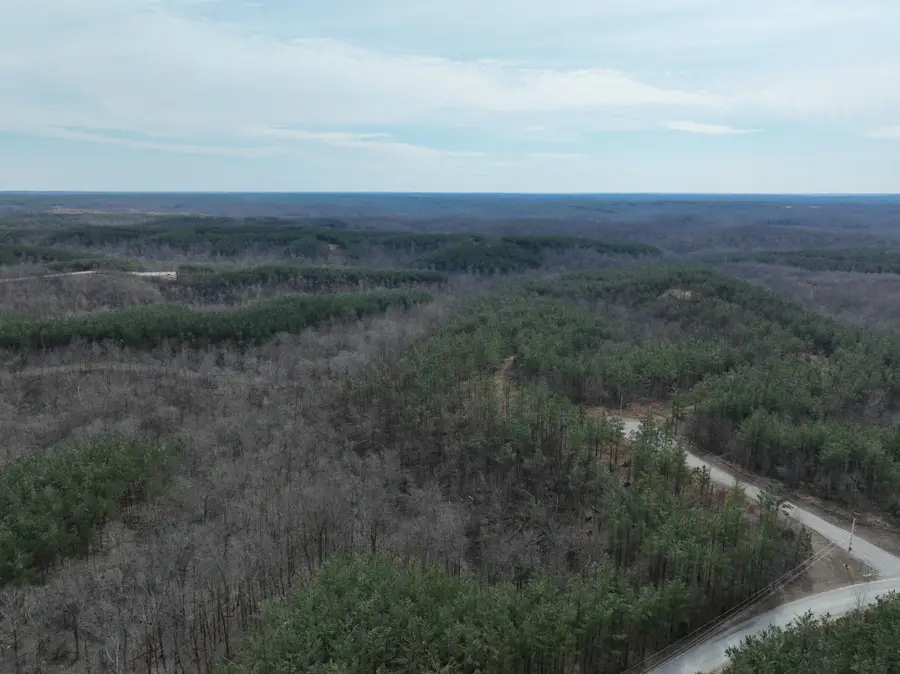 71 Auburn Ct, Linden, TN 37096 - #3