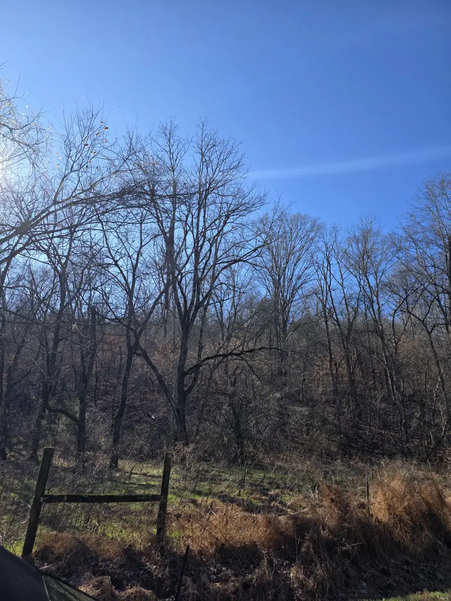 0 Rock Springs Rd, Ethridge, TN 38456 - #2