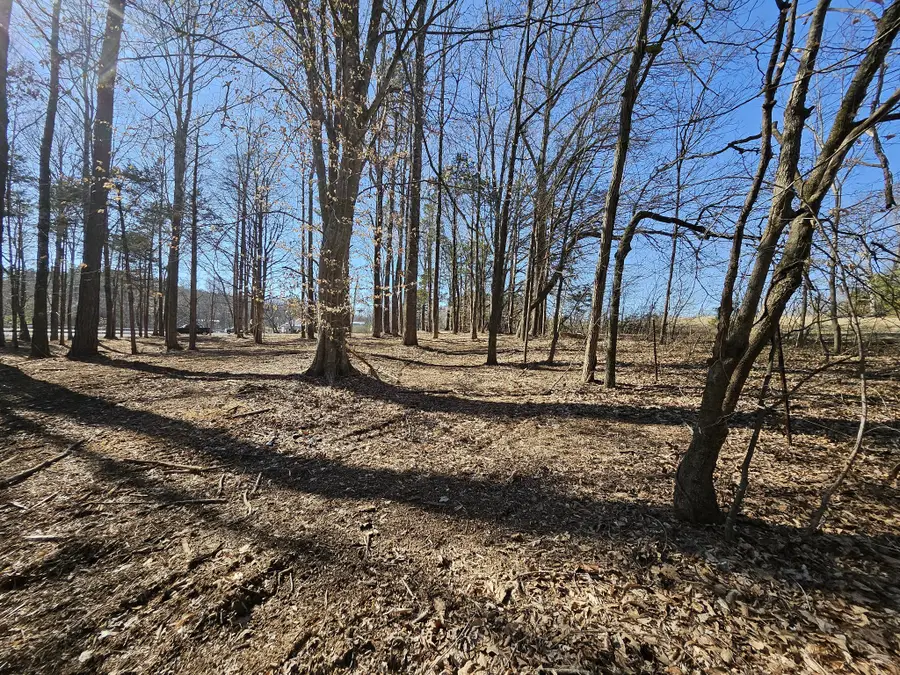 0 Hwy 70 S, Woodbury, TN 37190 - #2