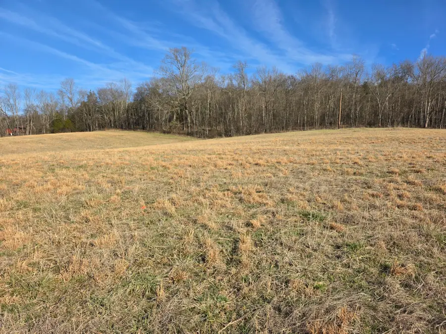 1016 Wartrace Hwy, Pleasant Shade, TN 37145 - #2