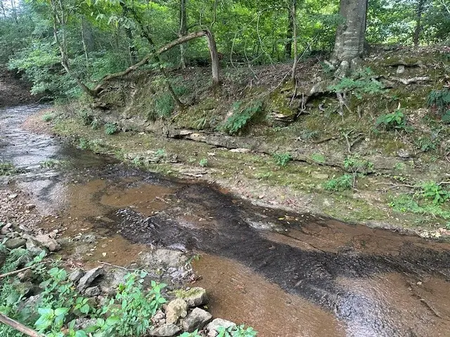 2143 Blue Springs Rd, Ashland City, TN 37015 - #1