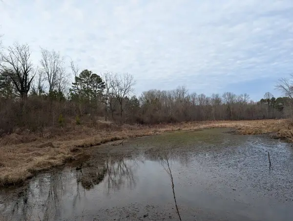 0 7th Street, Coalmont, TN 37313