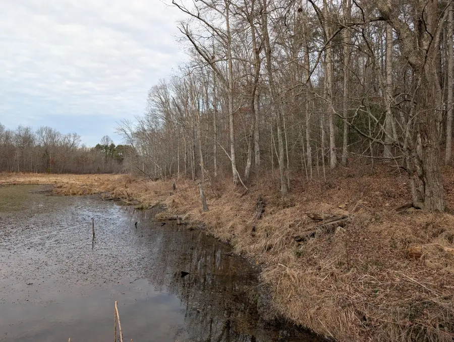 0 7th Street, Coalmont, TN 37313 - #2