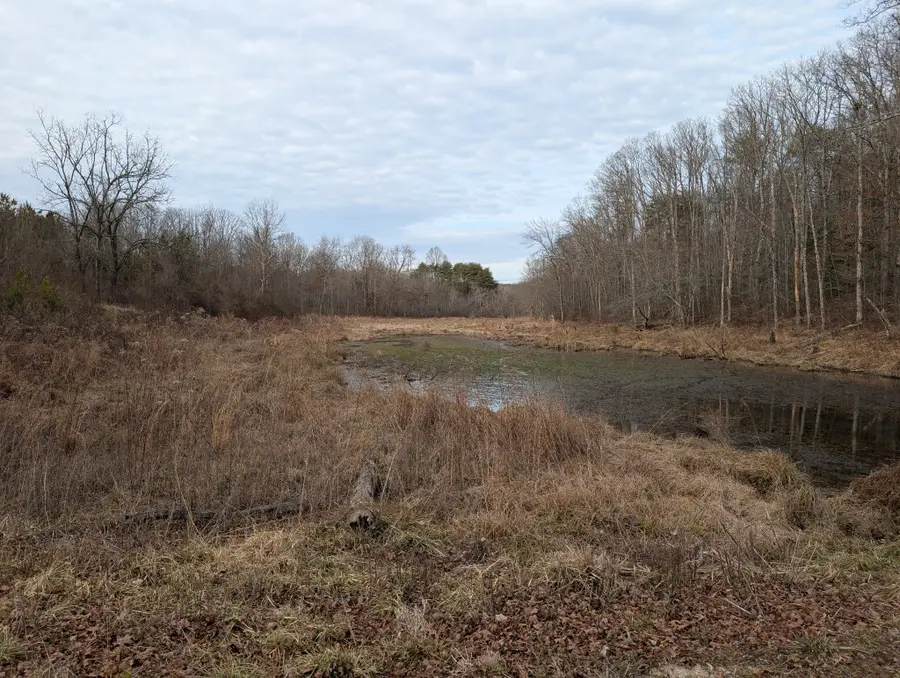 0 7th Street, Coalmont, TN 37313 - #3