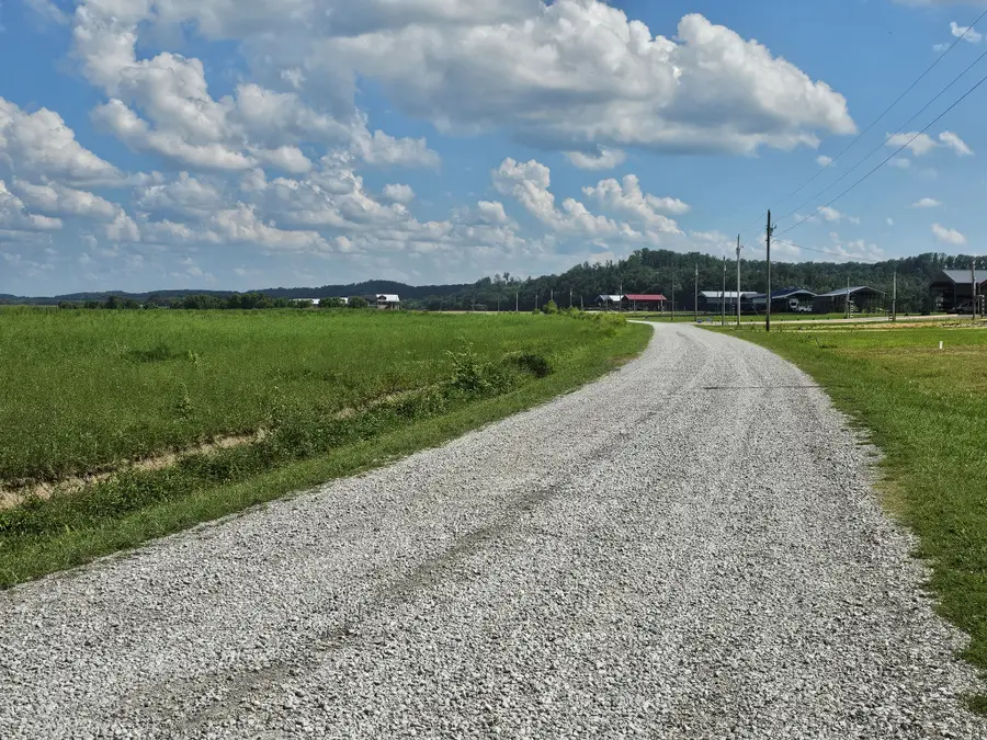 1901 Hardin Bottom River Rd, Clifton, TN 38425 - #3