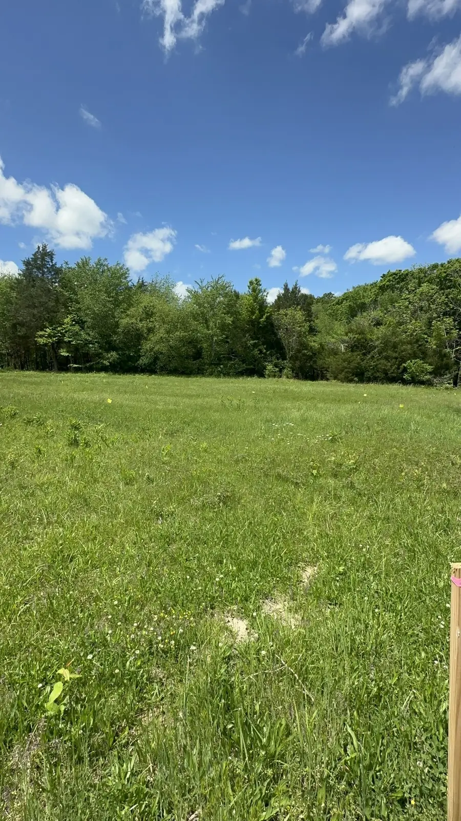 6481 Kelly Willis Rd, Greenbrier, TN 37073 - #2