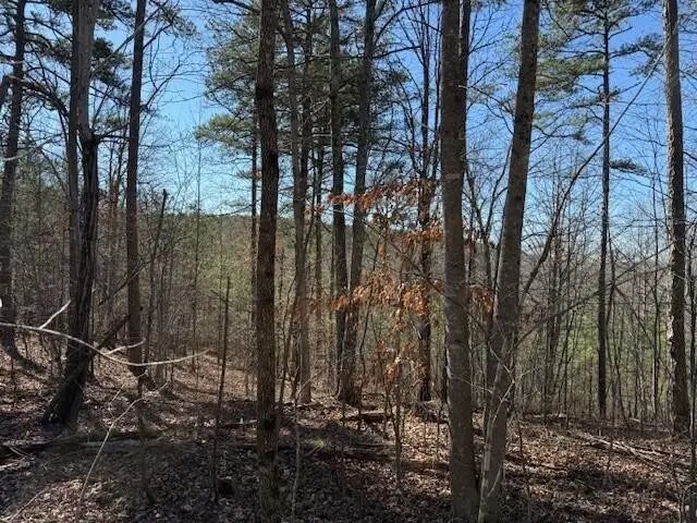1 South Pittsburg Mountain, South Pittsburg, TN 37380 - #1