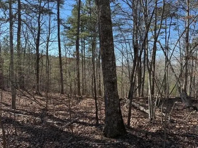1 South Pittsburg Mountain, South Pittsburg, TN 37380 - #2