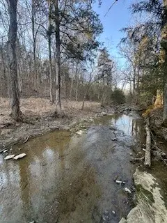 0 Glasgow Branch Road, Hartsville, TN 37074