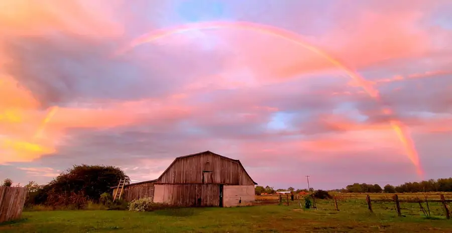 135 Campbellsville Pike, Ethridge, TN 38456 - #2