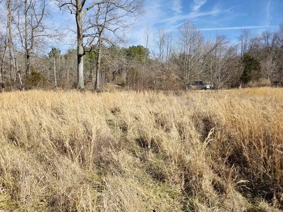 603 Gobbler Dr, Holladay, TN 38341 - #2