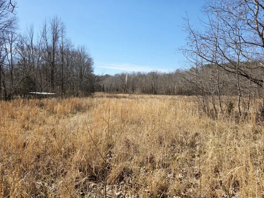 603 Gobbler Dr, Holladay, TN 38341 - #3