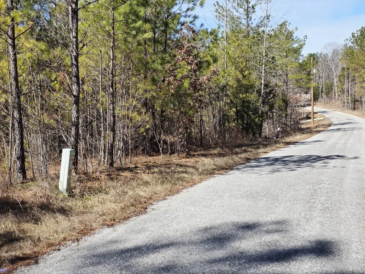 0 Allen Mill Bridge Rd, Camden, TN 38320 - #1