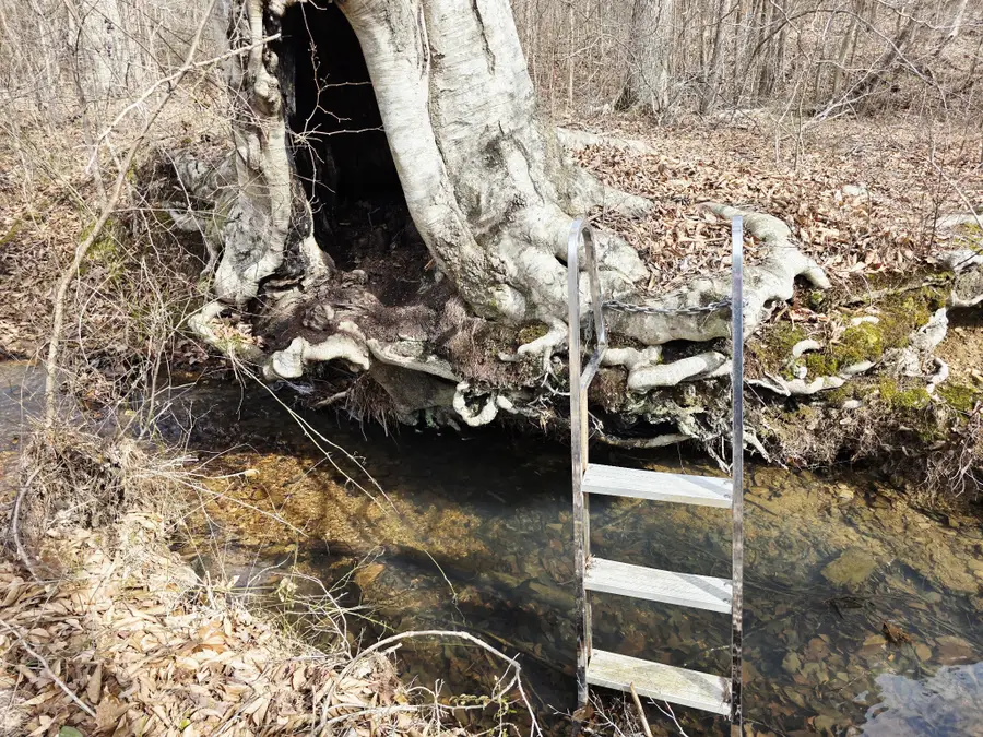 0 Birdsong Rd, Holladay, TN 38341 - #2