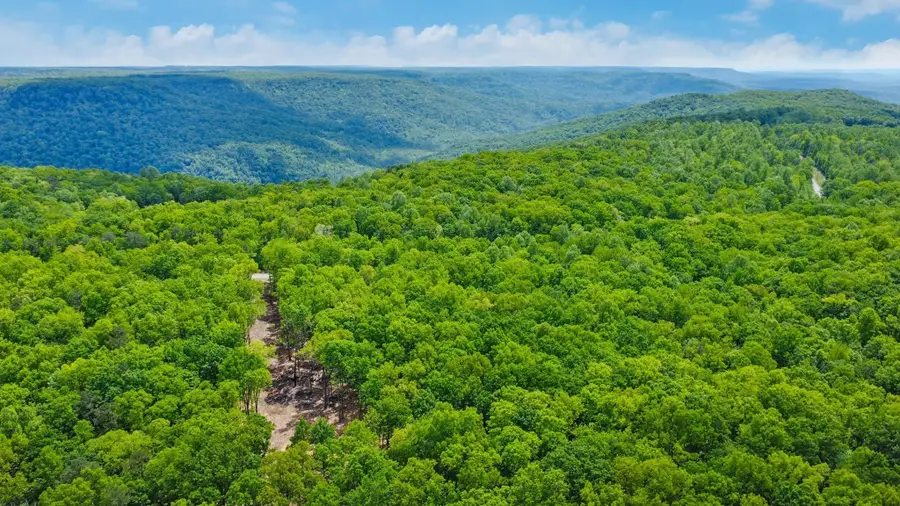 540 Cumberland Cove Rd, Monterey, TN 38574 - #2