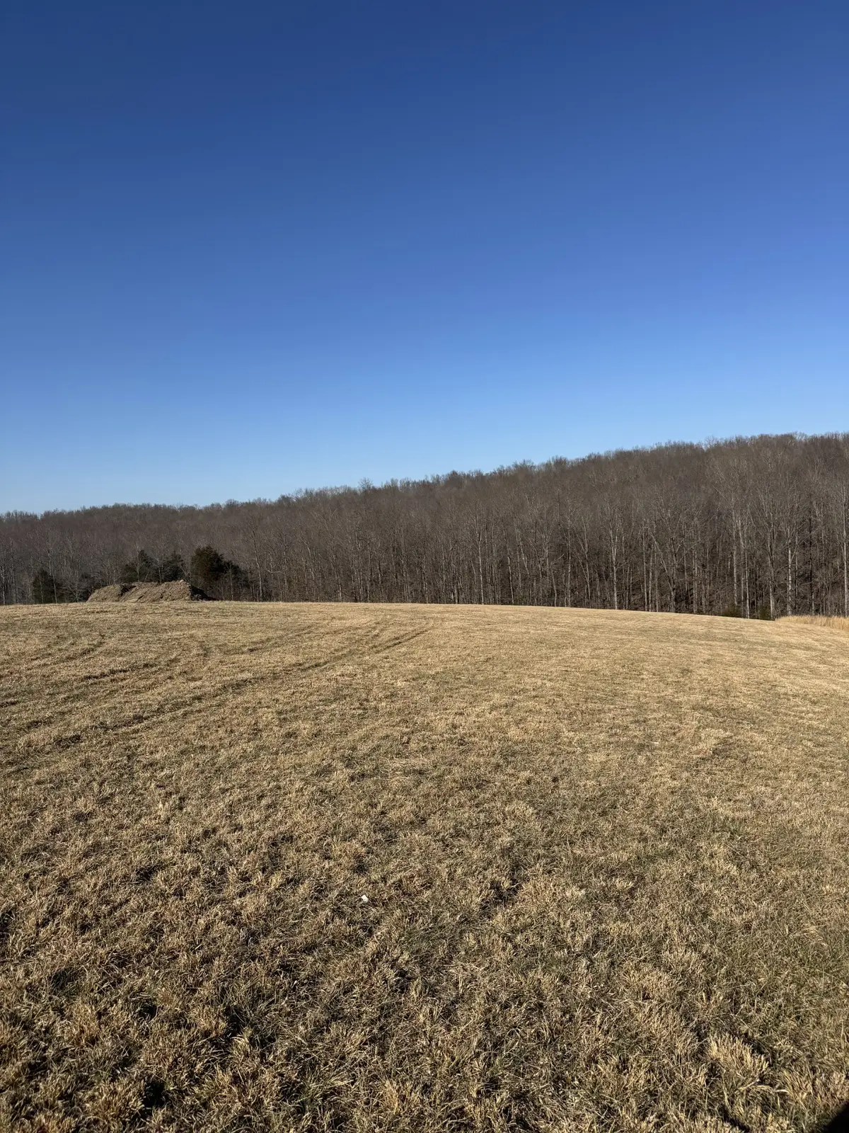 1968 Lafayette Rd, Red Boiling Springs, TN 37150 - #1