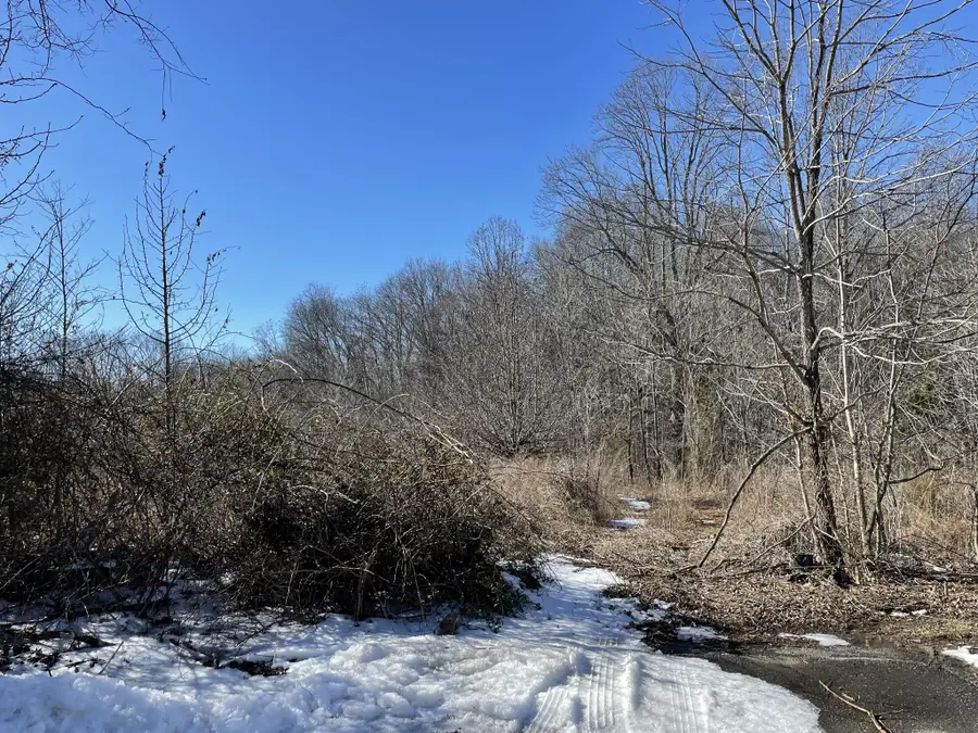 0 Kacie Drive, Pleasant View, TN 37146 - #3