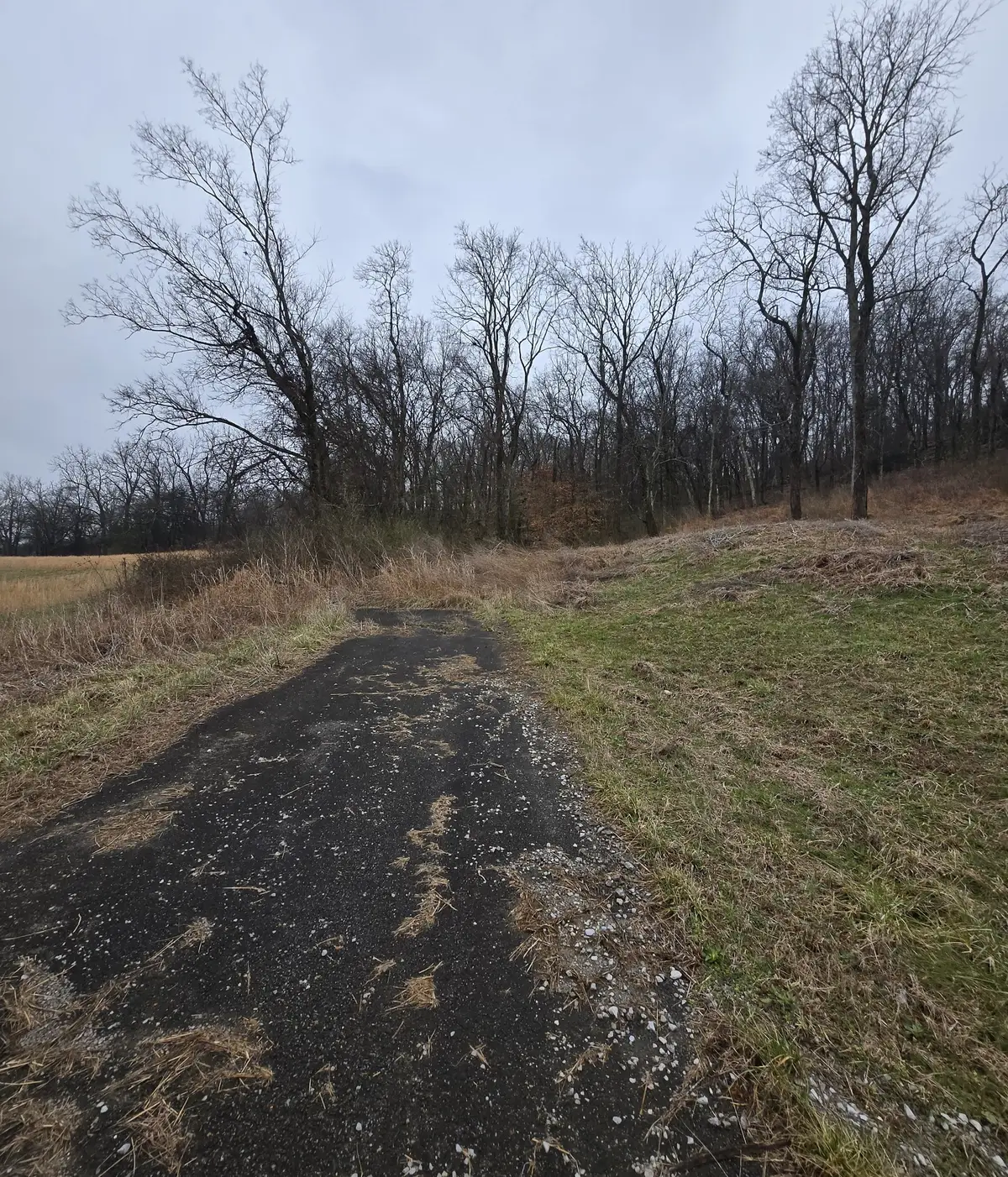 22241 Hwy 64, Pulaski, TN 38478 - #1