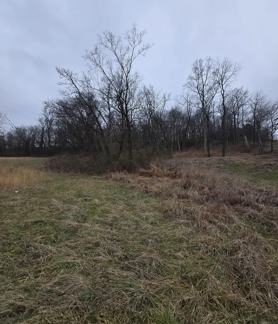 22241 Hwy 64, Pulaski, TN 38478 - #2