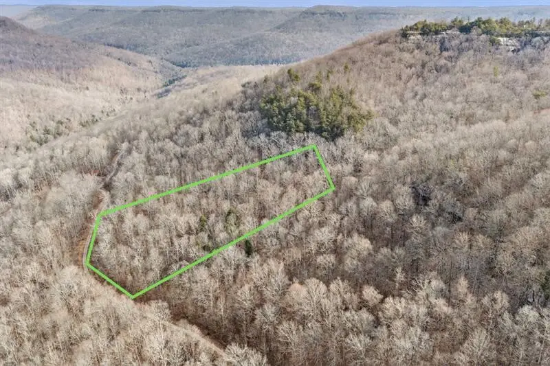 0 W Bobcat Ln, Grimsley, TN 38565 - #1