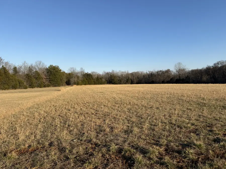 1166 Halls Mill Rd, Unionville, TN 37180 - #2