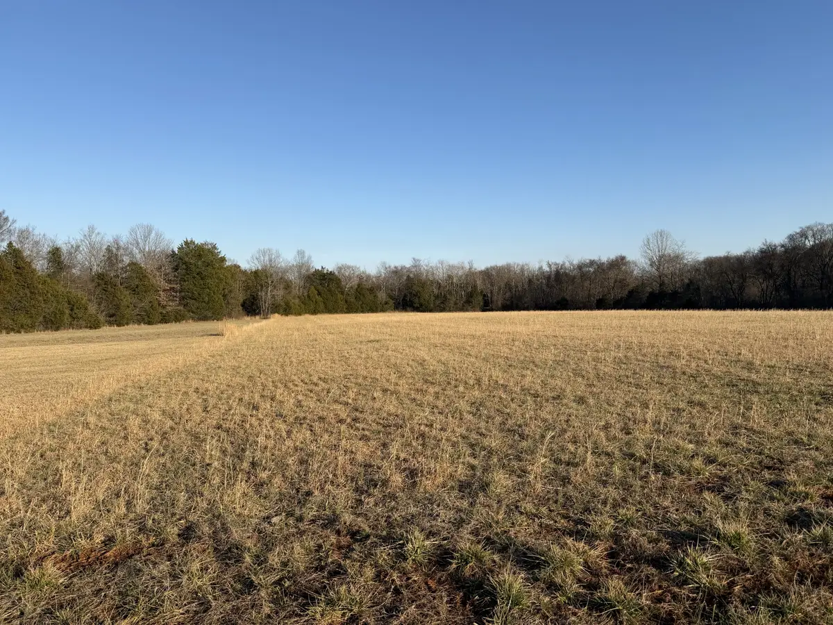 1166 Halls Mill Rd, Unionville, TN 37180 - #1