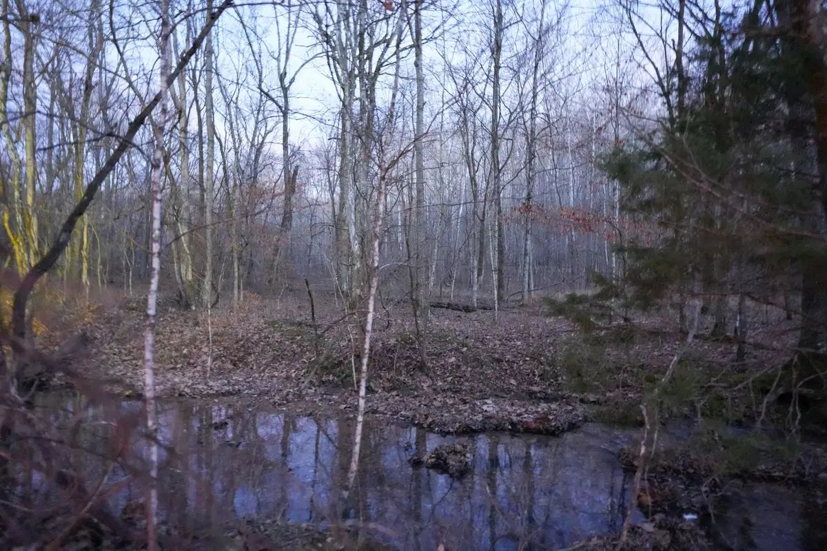 4 John Ross Hollow Rd, Erin, TN 37061 - #1