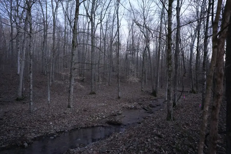 4 John Ross Hollow Rd, Erin, TN 37061 - #3