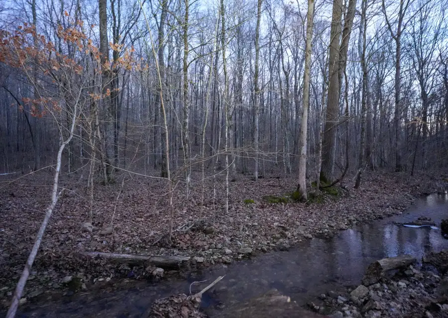 2 John Ross Hollow Rd, Erin, TN 37061 - #3