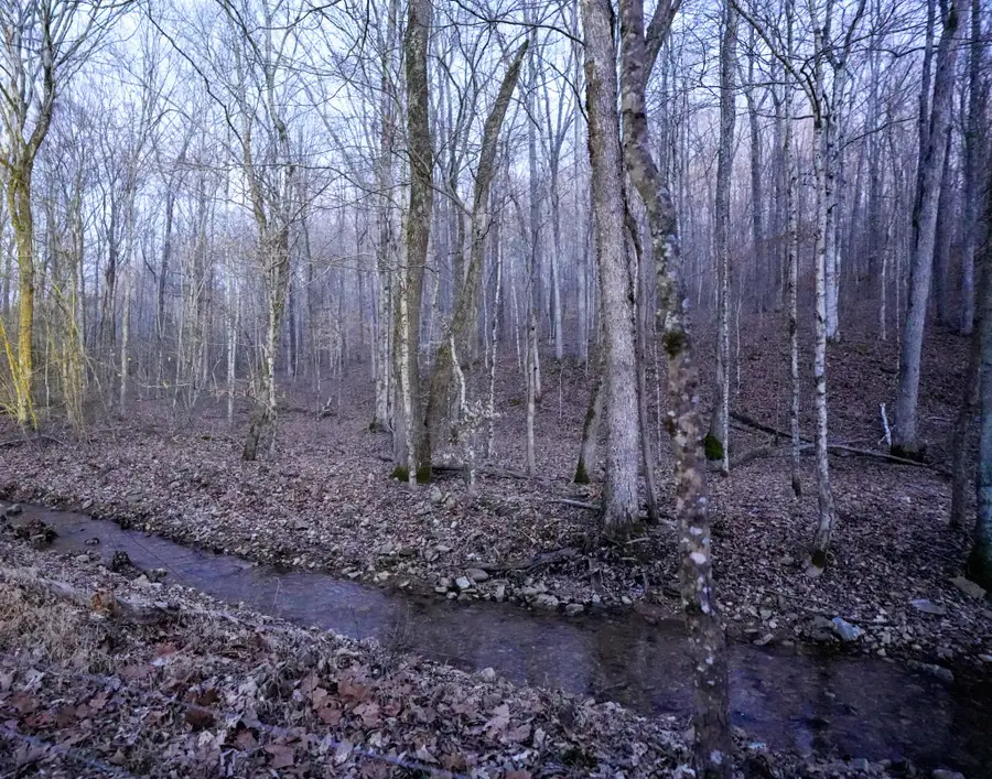 3 John Ross Hollow Rd, Erin, TN 37061 - #3