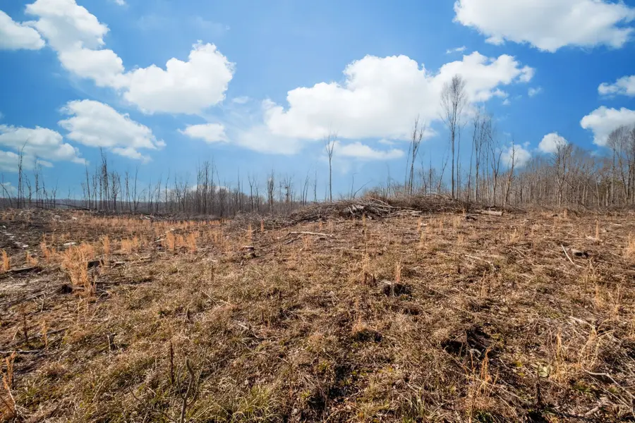 0 Singleton Road, Dickson, TN 37055 - #3