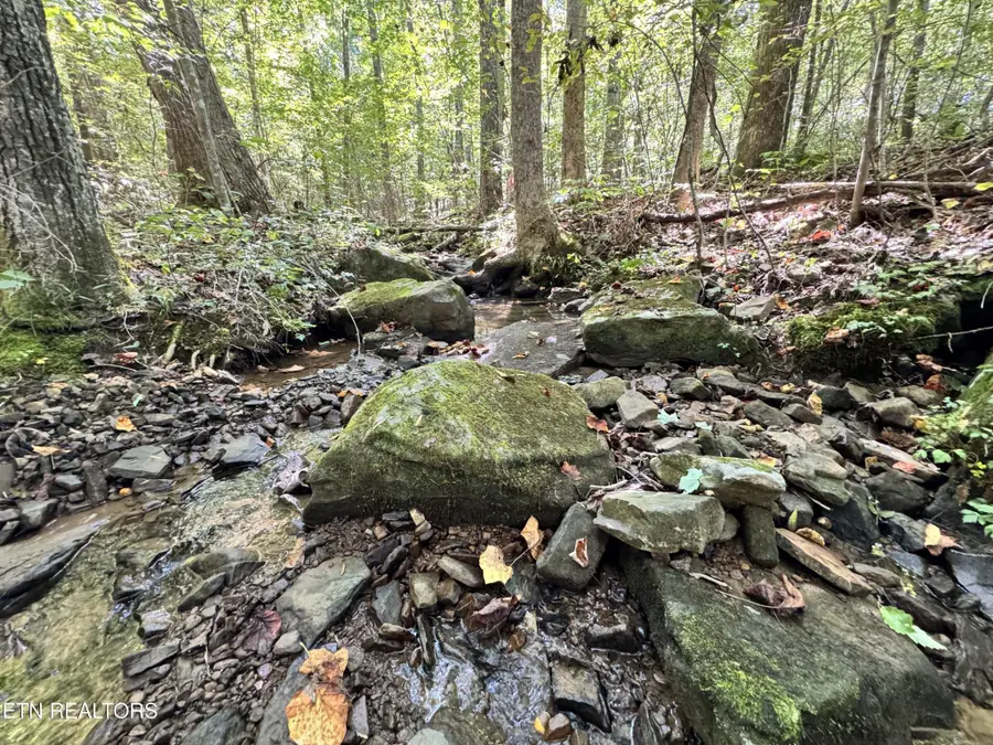 3773 Glade Creek Rd, Sparta, TN 38583 - #2